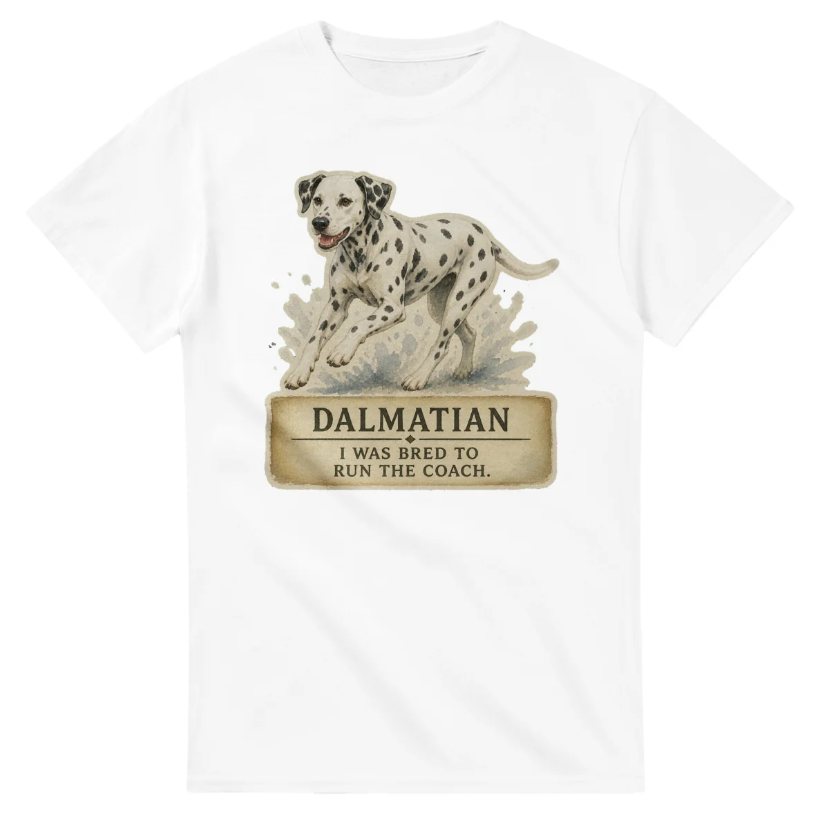 Dalmatian - Working Roots