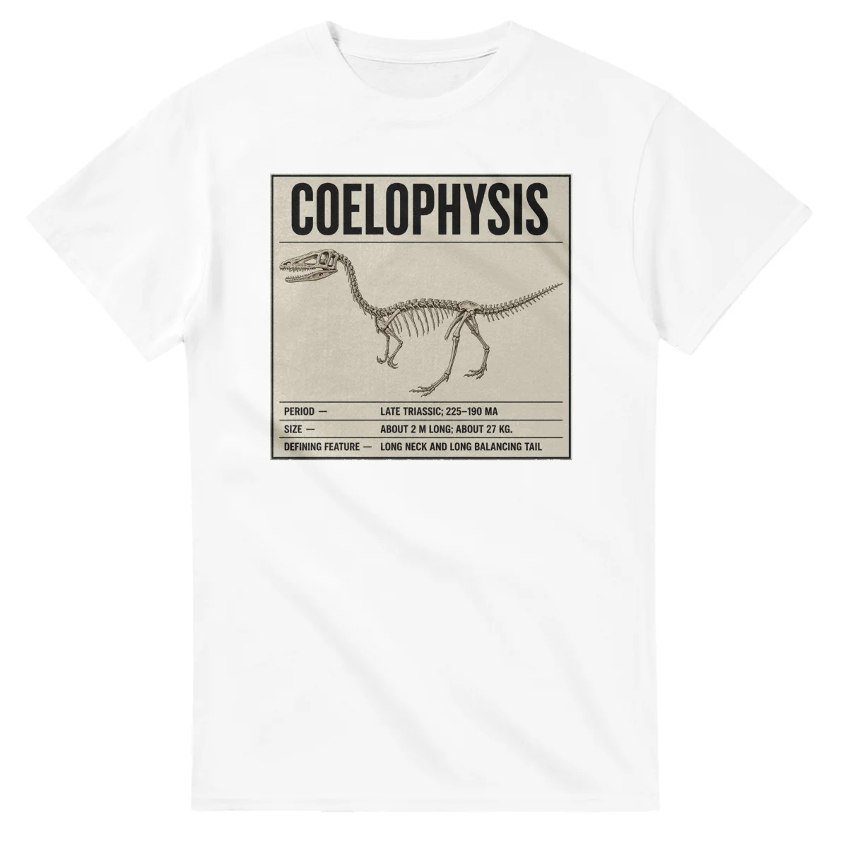 Coelophysis - Set in Stone