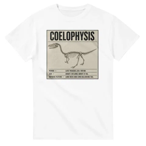 Coelophysis - Set in Stone