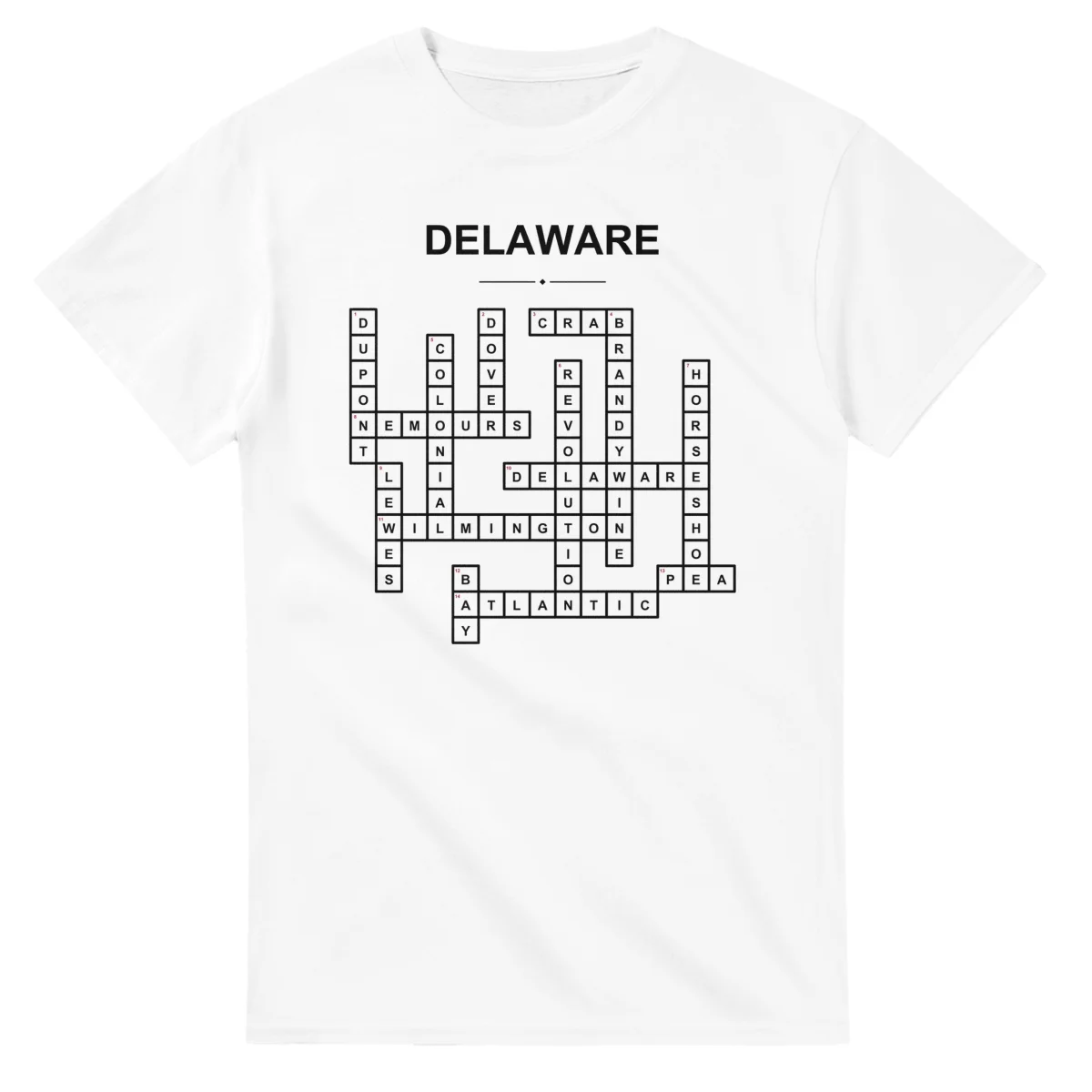 Monochrome crossword sheet for Delaware, with a large place-name heading, a letter grid, and numbered across and down clues.