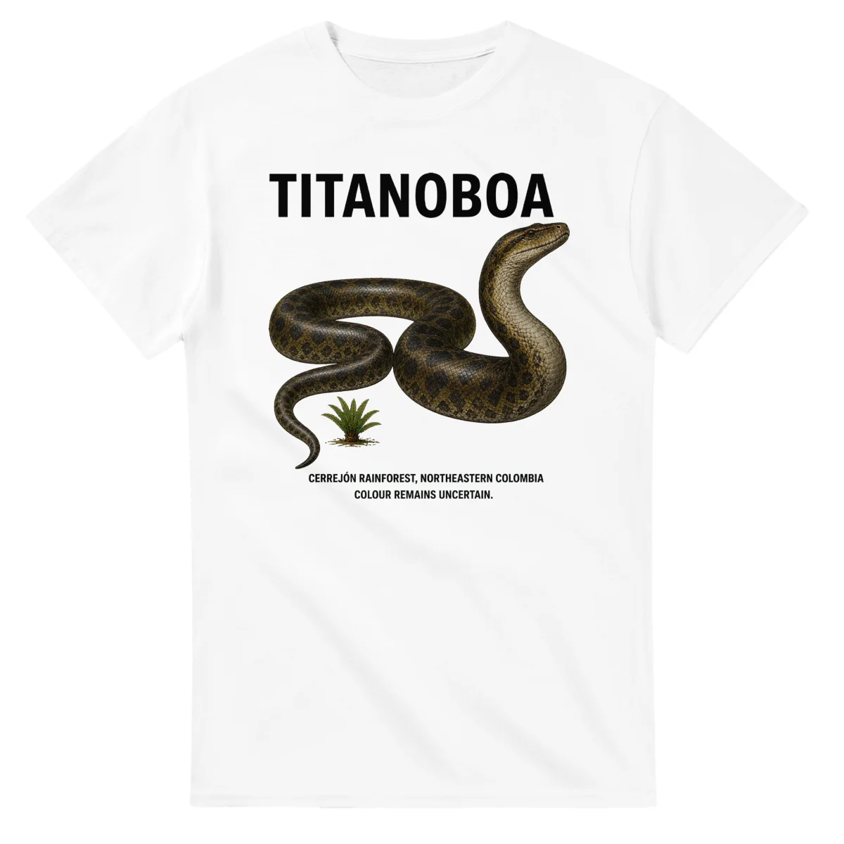 Titanoboa - Artist's Impression