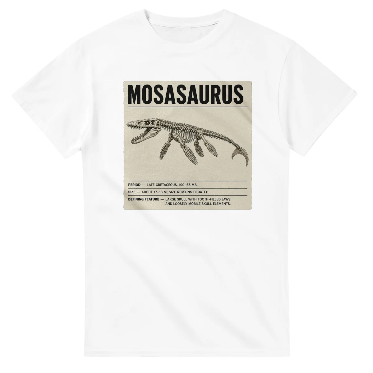 Mosasaurus - Set in Stone