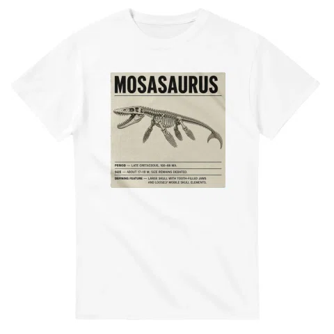 Mosasaurus - Set in Stone
