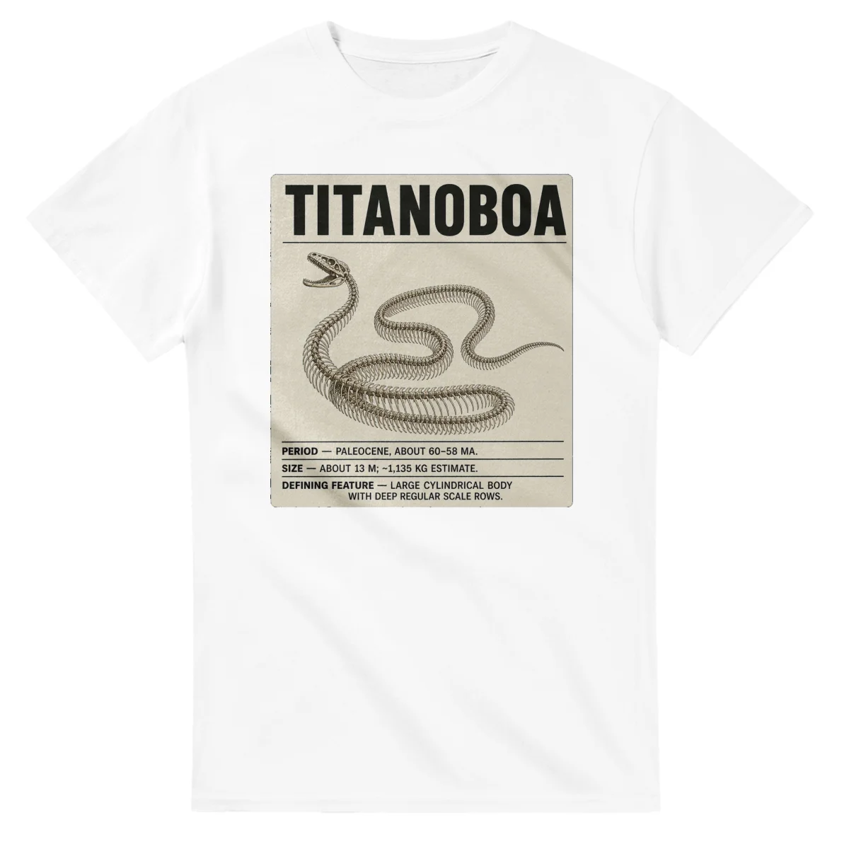 Titanoboa - Set in Stone