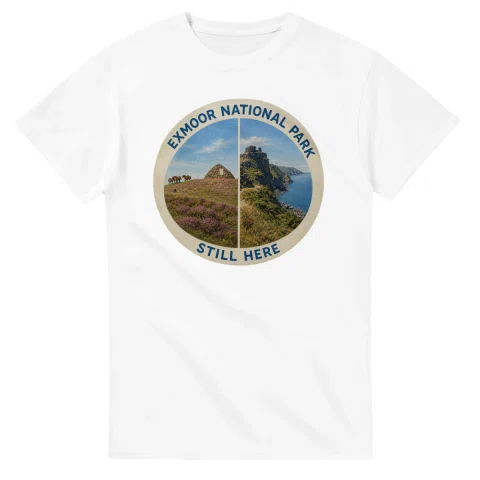 Painted, panelled scenic illustration for Exmoor National Park, with paired local scenes and the place name in lettering.
