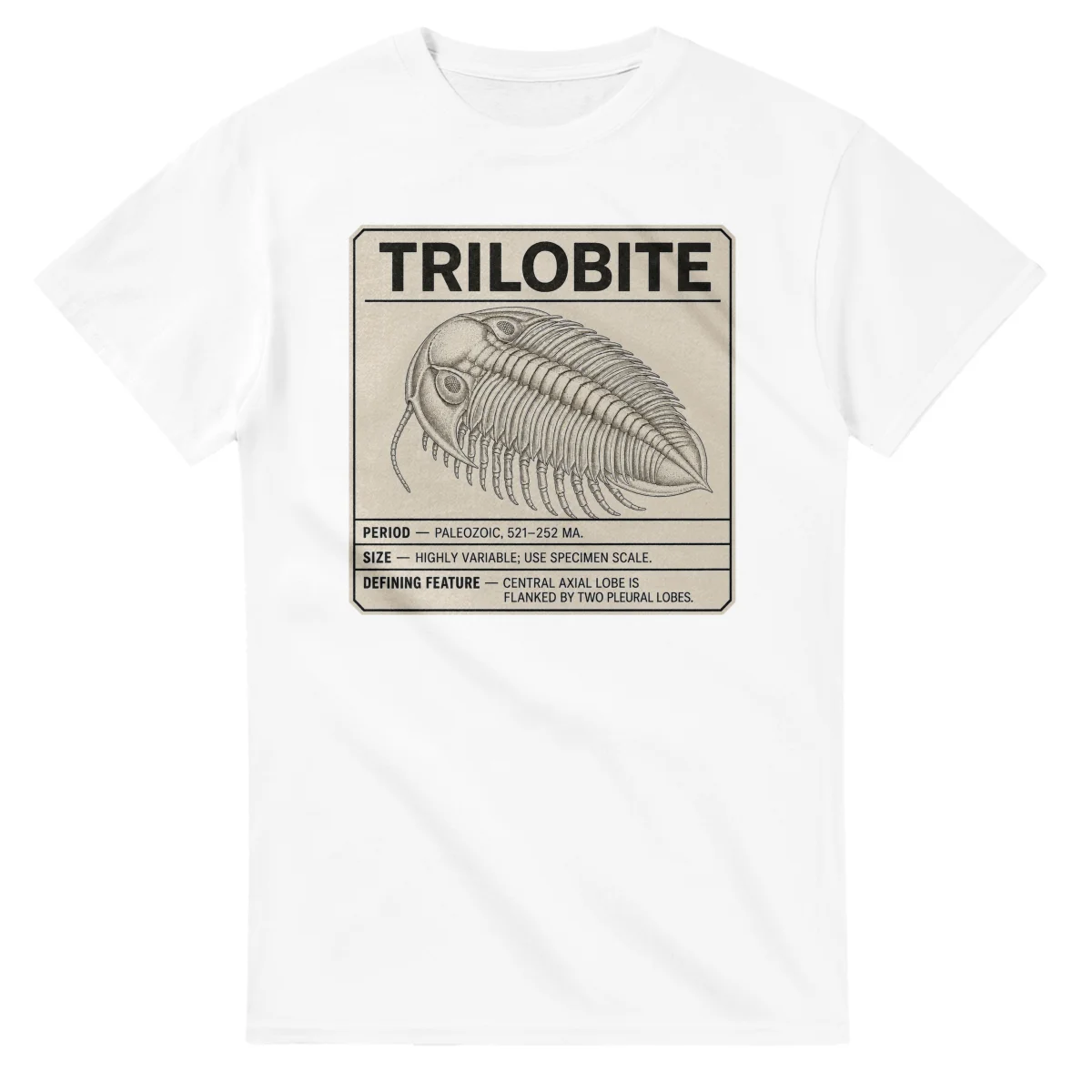 Trilobite - Set in Stone