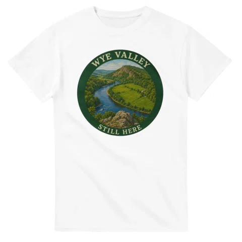 Painted, panelled scenic illustration for Wye Valley, with paired local scenes and the place name in lettering.