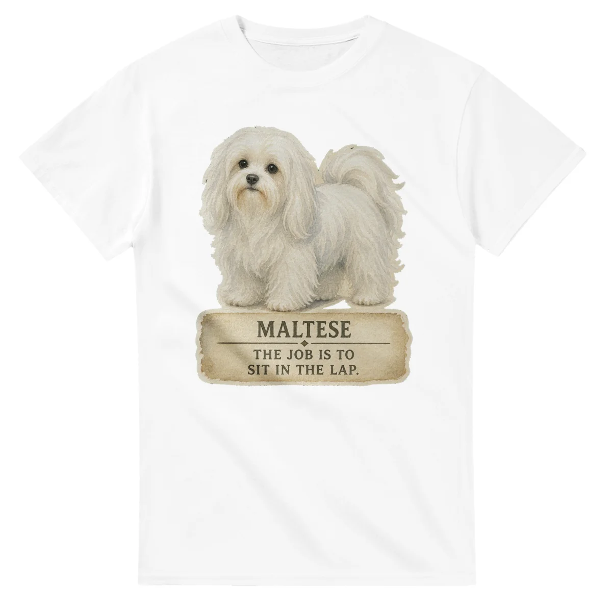 Maltese - Working Roots