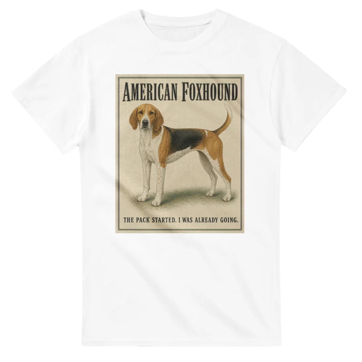 American Foxhound - Well Bred
