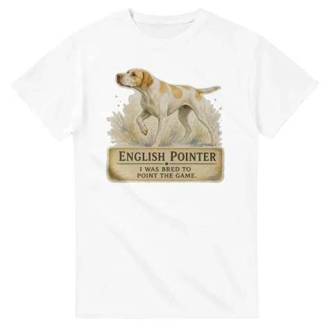 English Pointer - Working Roots