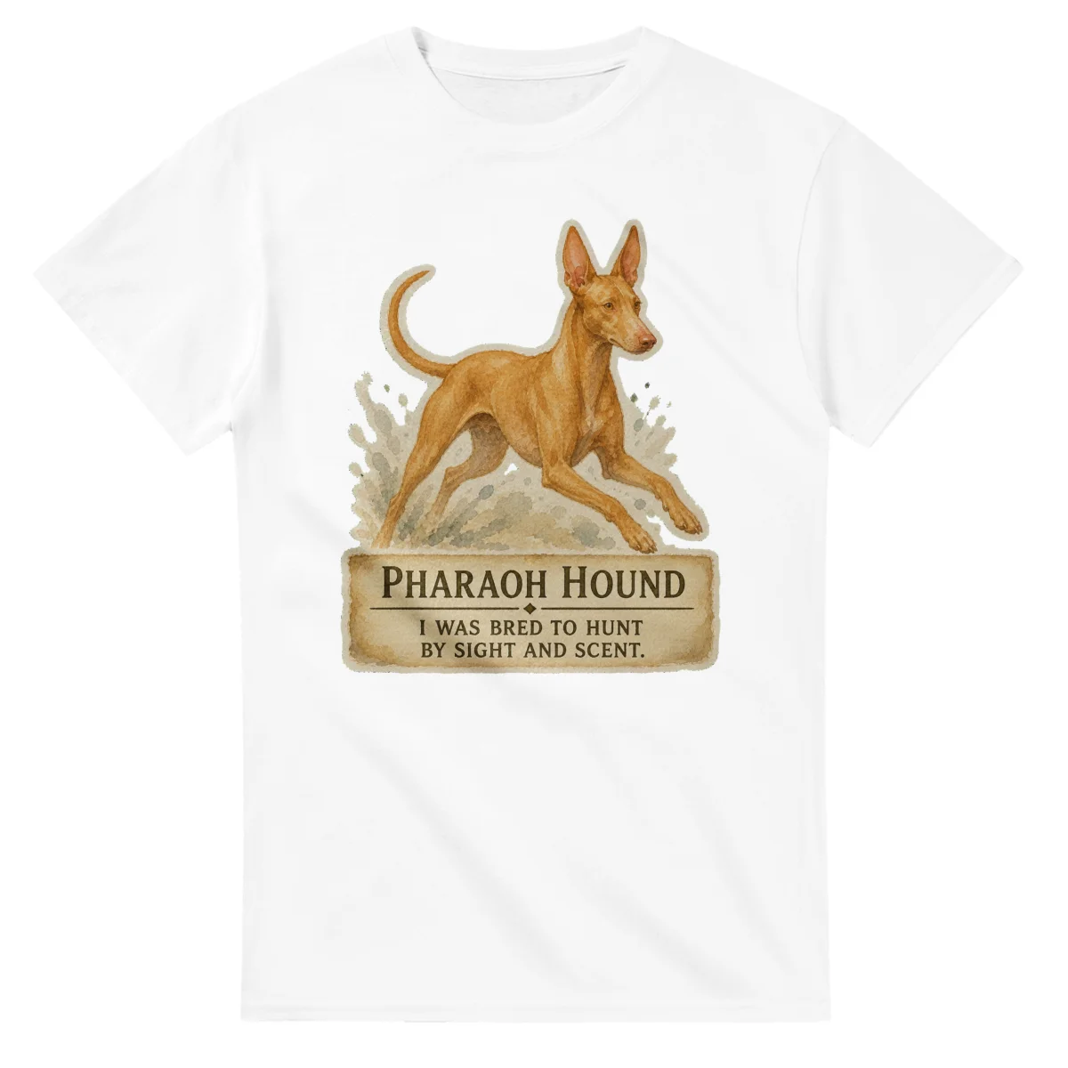 Pharaoh Hound - Working Roots