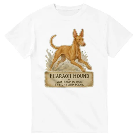 Pharaoh Hound - Working Roots