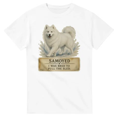 Samoyed - Working Roots