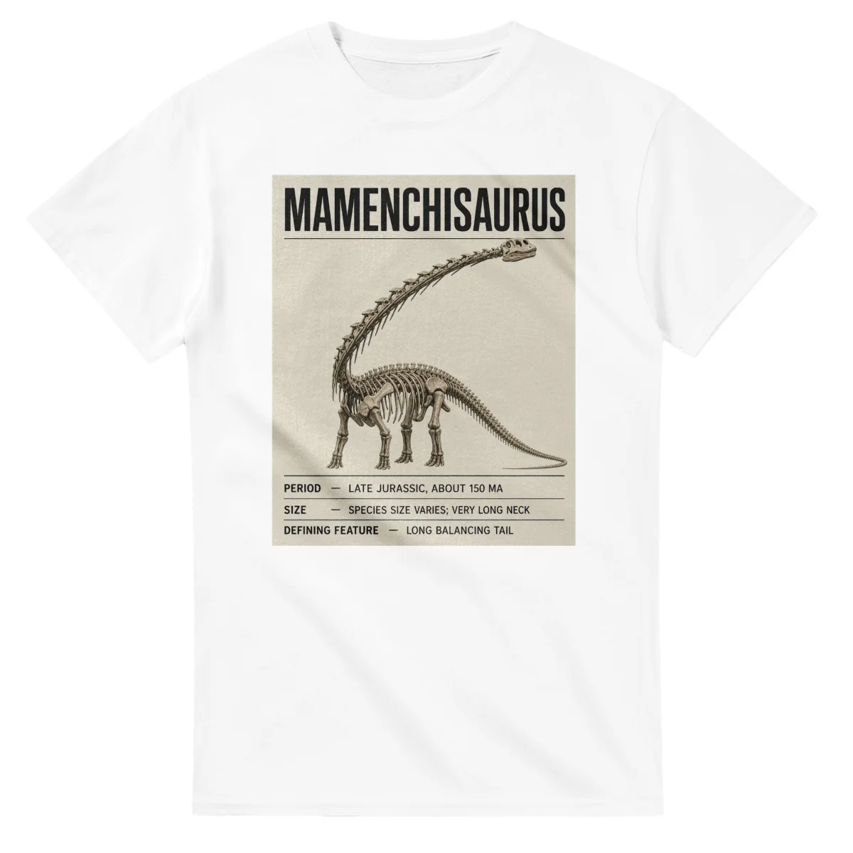 Mamenchisaurus - Set in Stone
