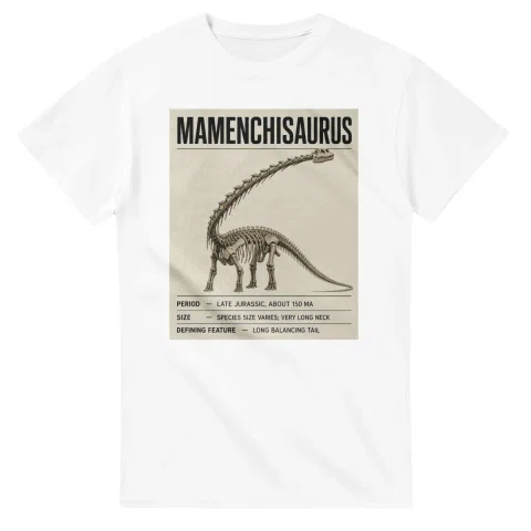 Mamenchisaurus - Set in Stone