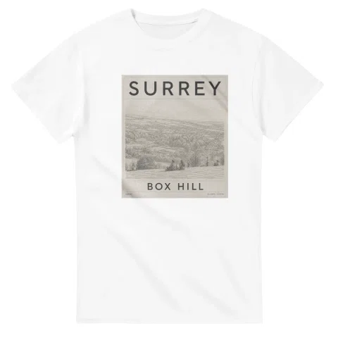 Fine-line engraving-style drawing for Surrey, with a landmark caption and small coordinate text.