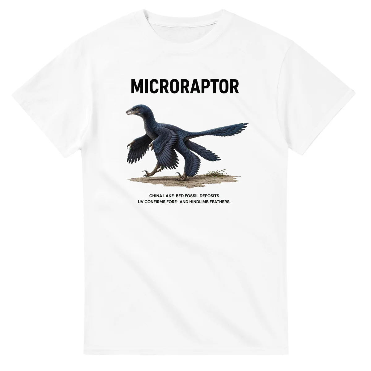 Microraptor - Artist's Impression