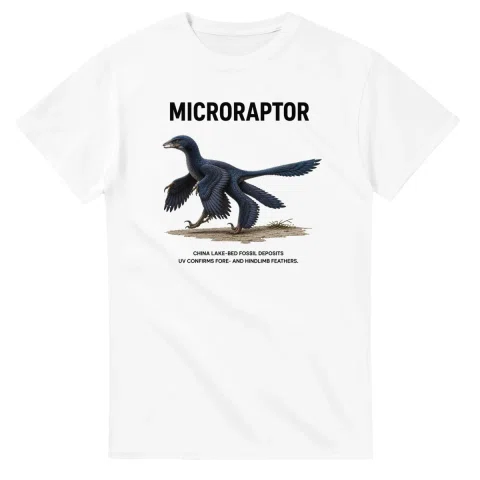 Microraptor - Artist's Impression