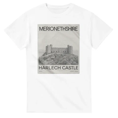 Fine-line engraving-style drawing for Merionethshire, with a landmark caption and small coordinate text.