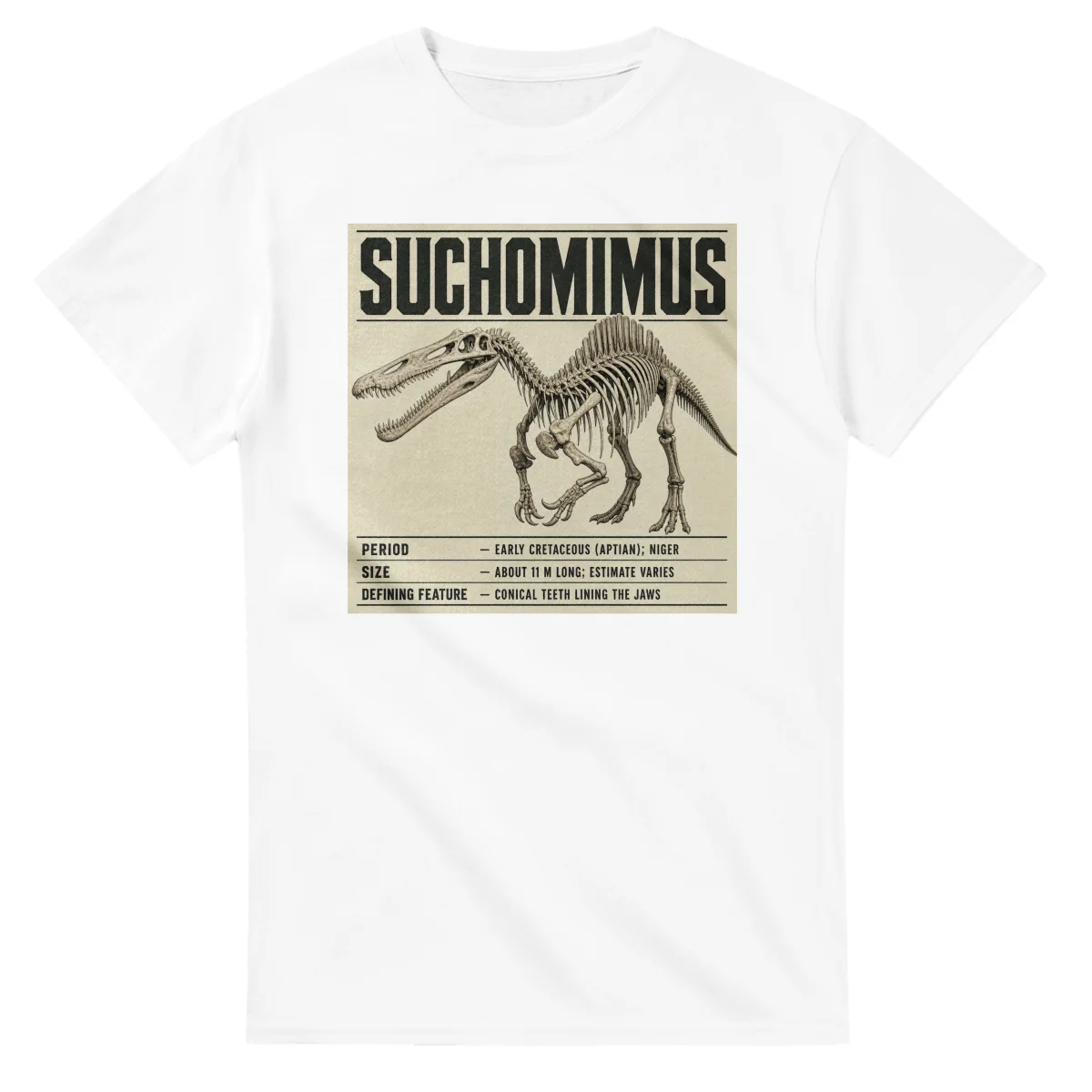 Suchomimus - Set in Stone