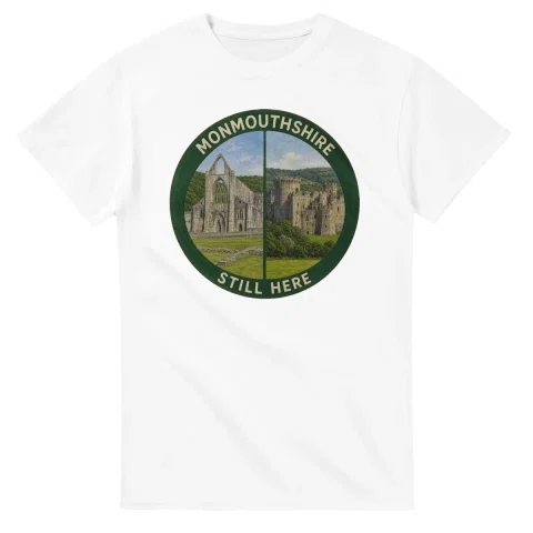 Painted, panelled scenic illustration for Monmouthshire, with paired local scenes and the place name in lettering.