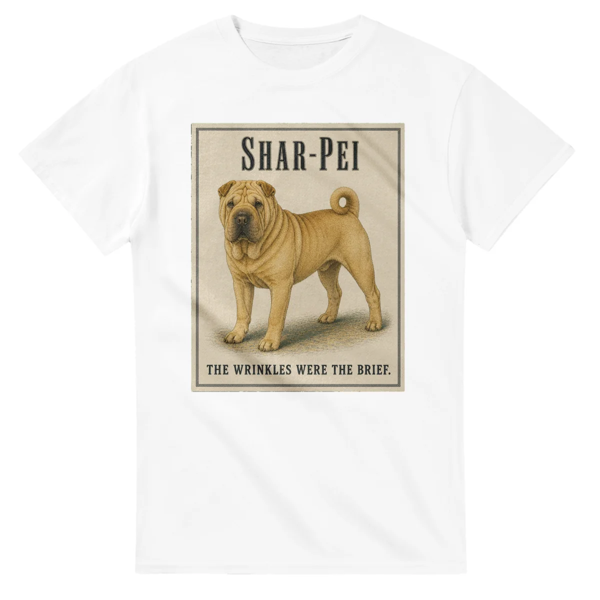 Shar-Pei - Well Bred