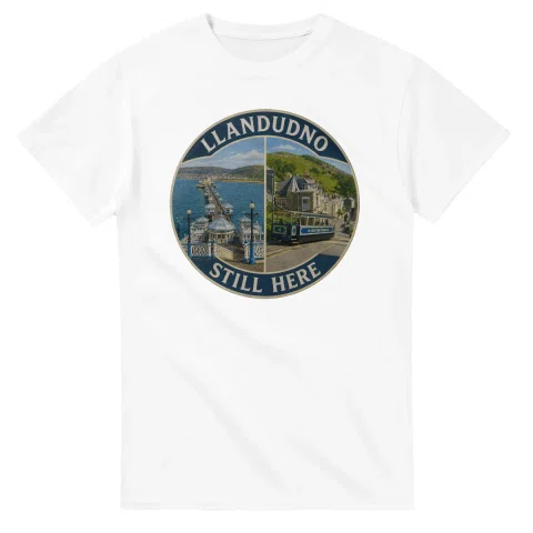 Painted, panelled scenic illustration for Llandudno, with paired local scenes and the place name in lettering.