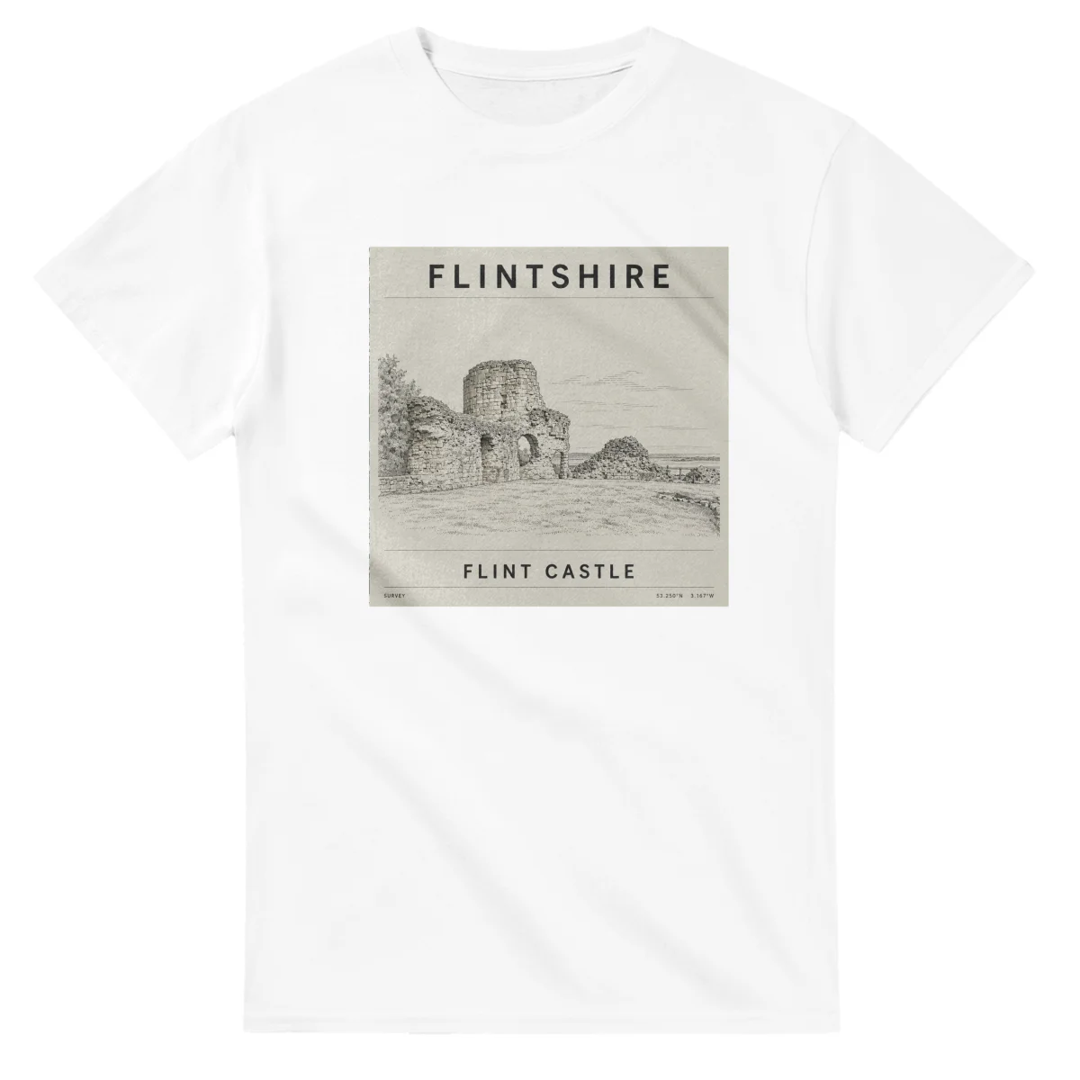 Flintshire - The Details