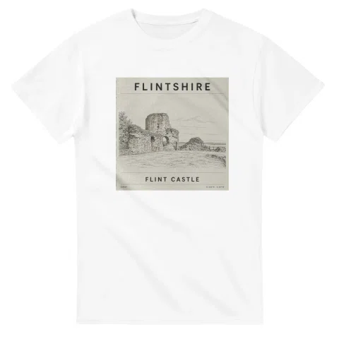 Fine-line engraving-style drawing for Flintshire, with a landmark caption and small coordinate text.