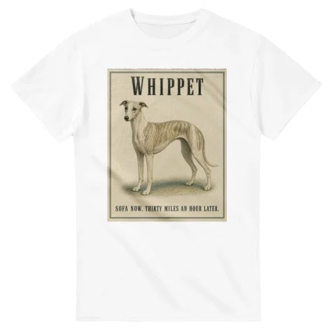 Whippet - Well Bred