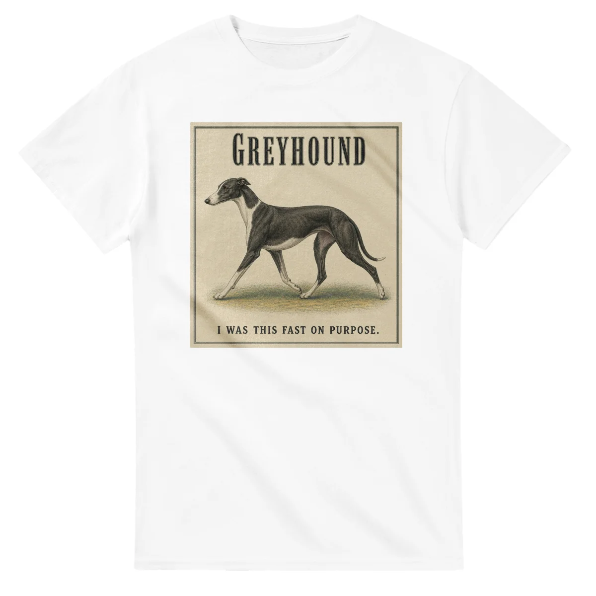 Greyhound - Well Bred