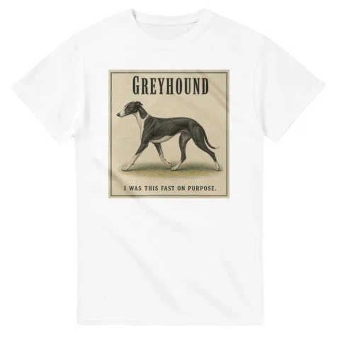 Greyhound - Well Bred