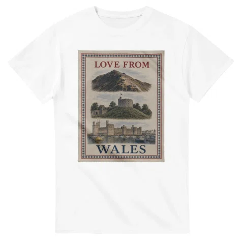 Framed scenic design for Wales, with several local views, a decorative border and LOVE FROM lettering.