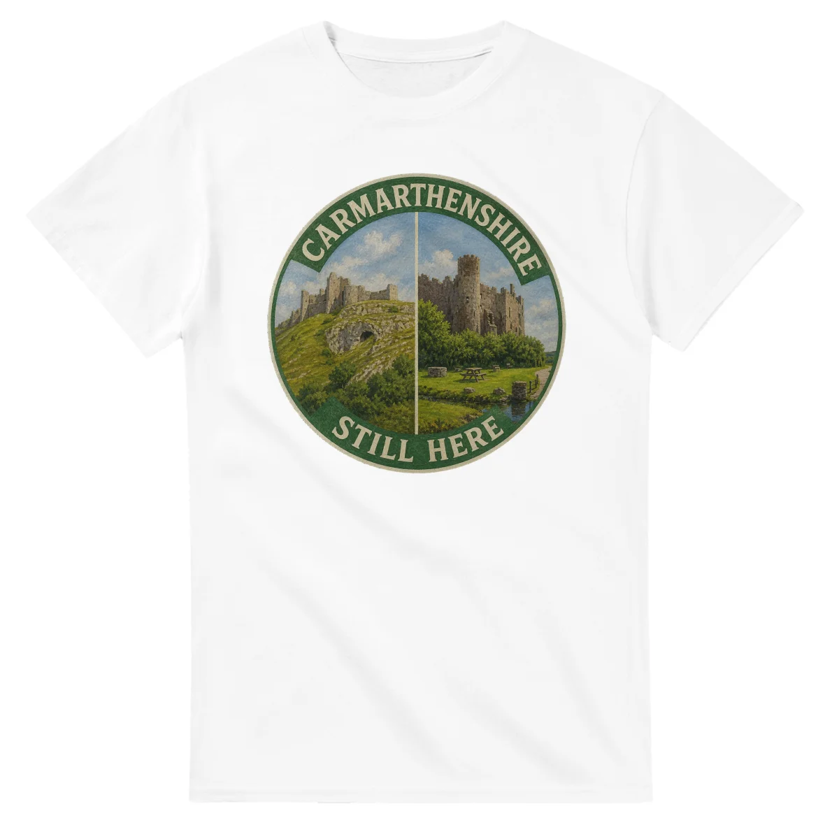Painted, panelled scenic illustration for Carmarthenshire, with paired local scenes and the place name in lettering.