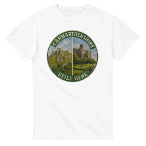 Painted, panelled scenic illustration for Carmarthenshire, with paired local scenes and the place name in lettering.