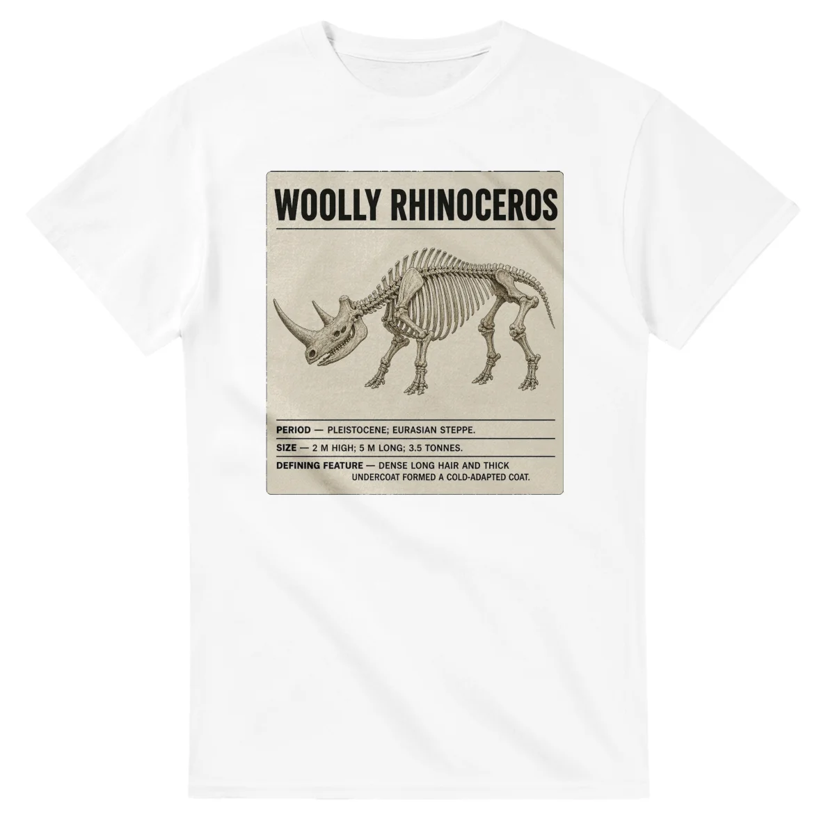 Woolly rhinoceros - Set in Stone