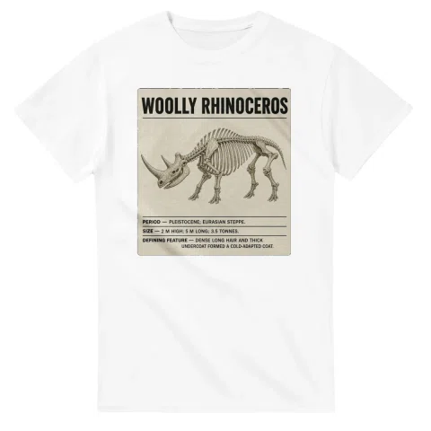 Woolly rhinoceros - Set in Stone