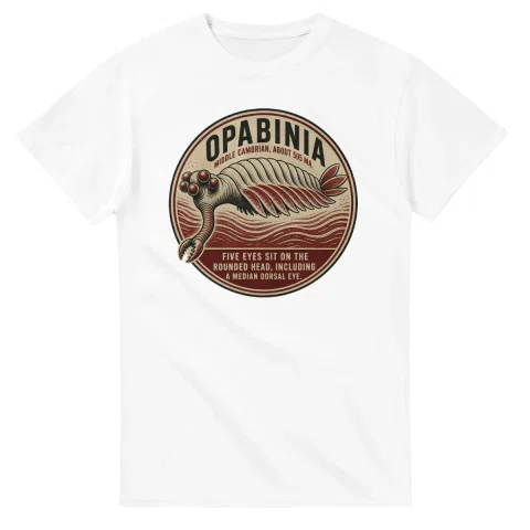 Opabinia - Alive and Well
