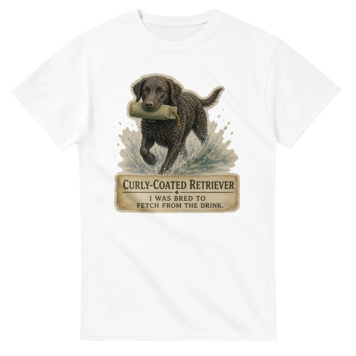 Curly-Coated Retriever - Working Roots