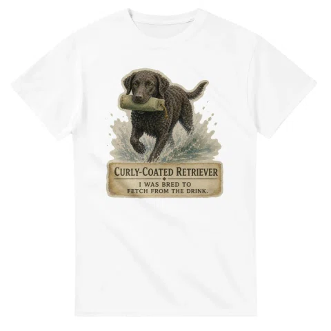 Curly-Coated Retriever - Working Roots