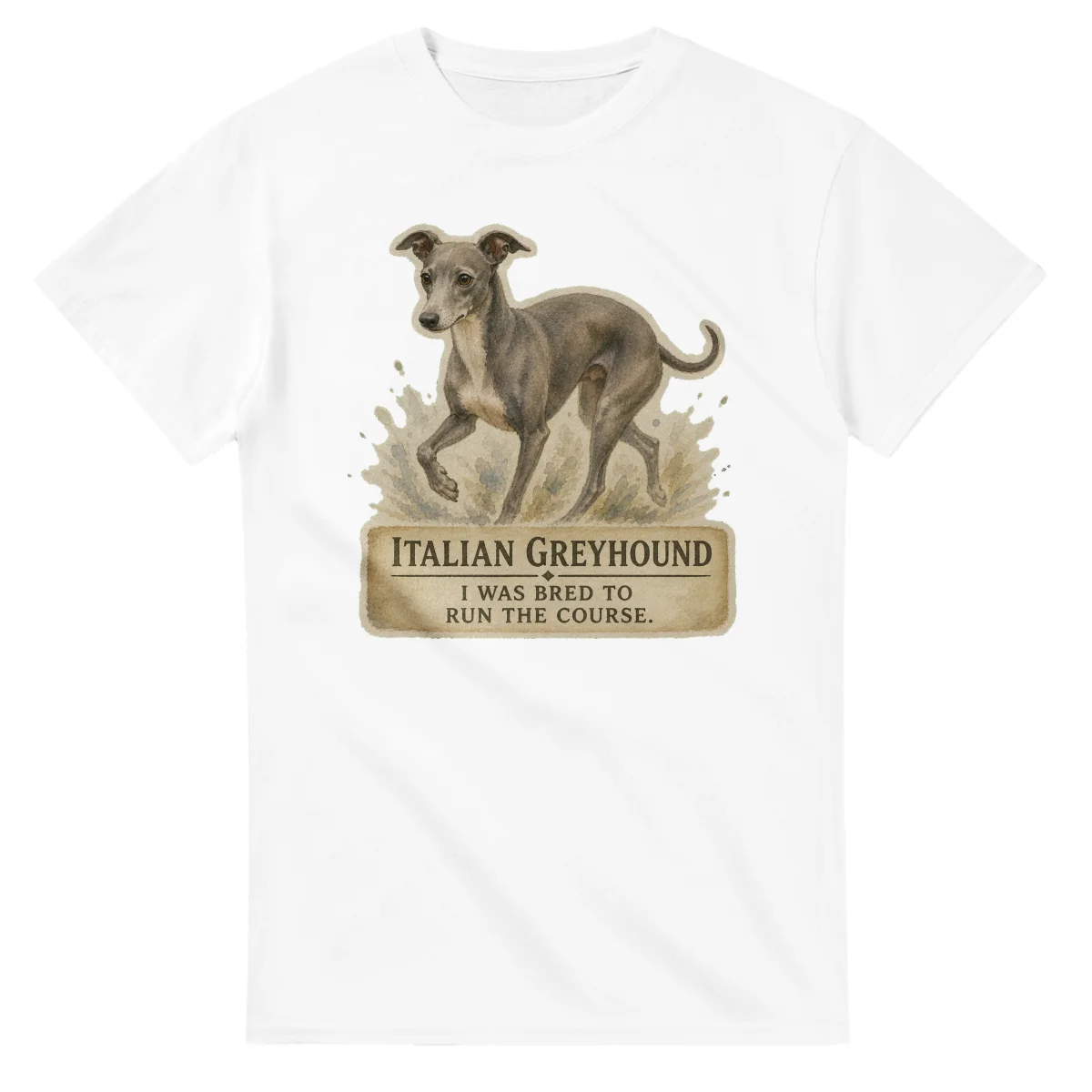 Italian Greyhound - Working Roots