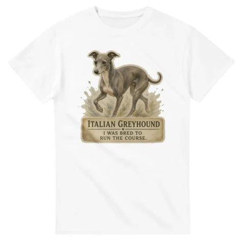 Italian Greyhound - Working Roots