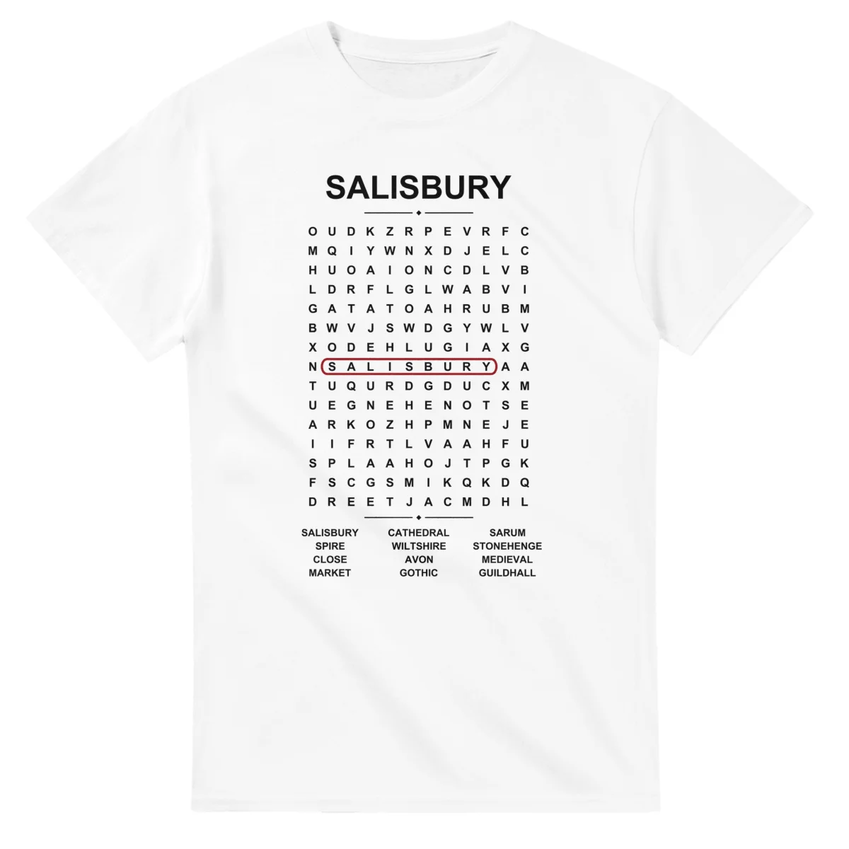 Word-search sheet for Salisbury, with a large place-name heading, a letter grid, a local answer list, and a red highlighted example word.