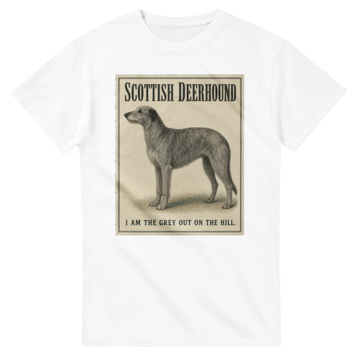 Scottish Deerhound - Well Bred