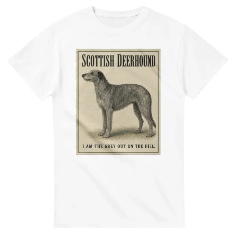 Scottish Deerhound - Well Bred