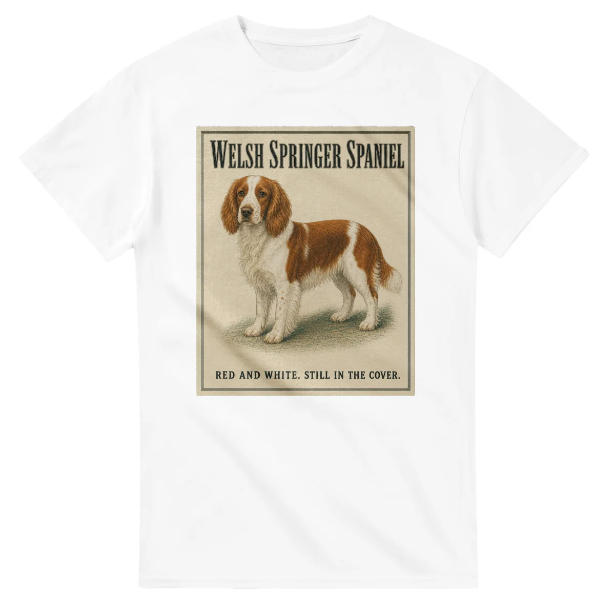 Welsh Springer Spaniel - Well Bred