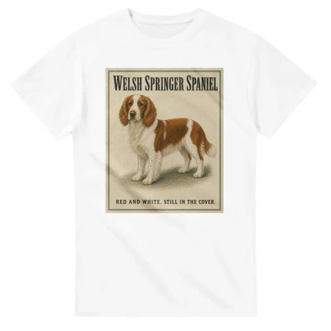 Welsh Springer Spaniel - Well Bred