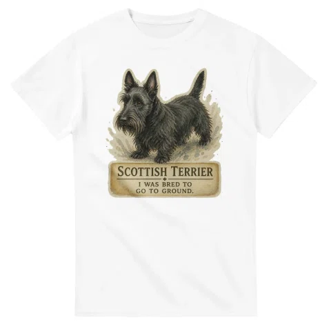 Scottish Terrier - Working Roots
