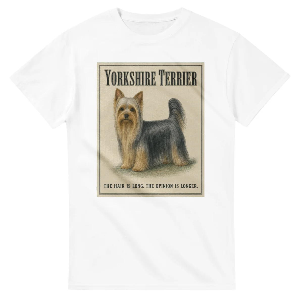 Yorkshire Terrier - Well Bred