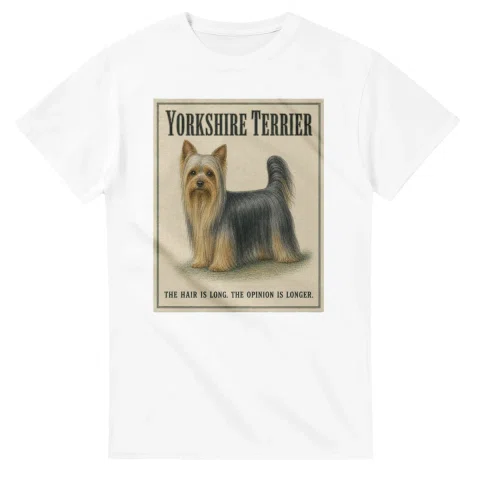 Yorkshire Terrier - Well Bred